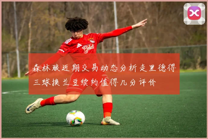 森林狼近期交易动态分析走里德得三球换兰豆续约值得几分评价